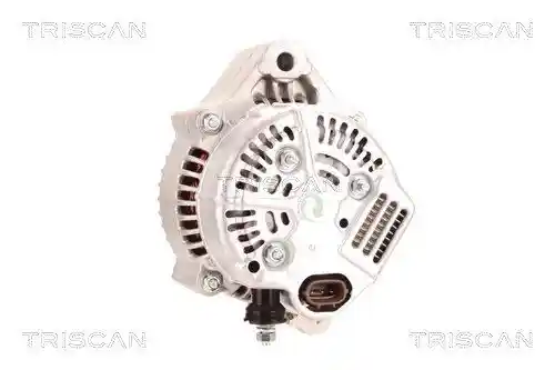 TRISCAN 8310 13011