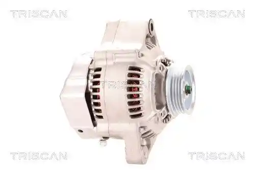 TRISCAN 8310 13011