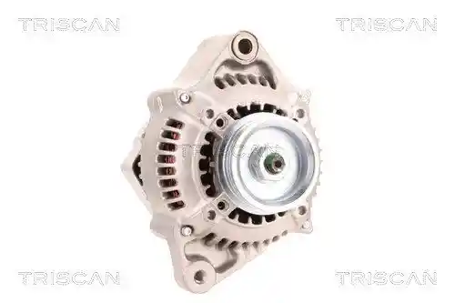 TRISCAN 8310 13011