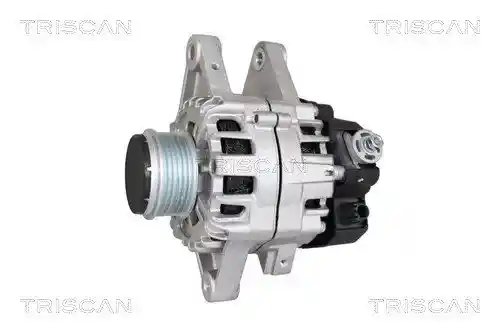 TRISCAN 8310 13053 TRISCAN 8310 13053