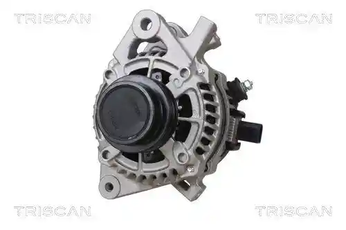 TRISCAN 8310 13061