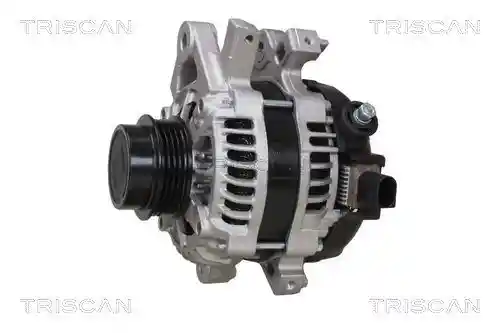 TRISCAN 8310 13061