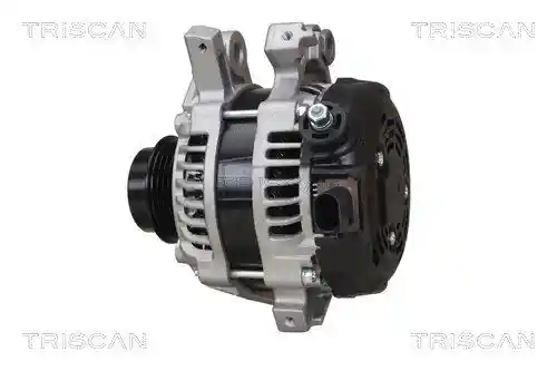 TRISCAN 8310 13061
