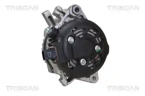 TRISCAN 8310 13061