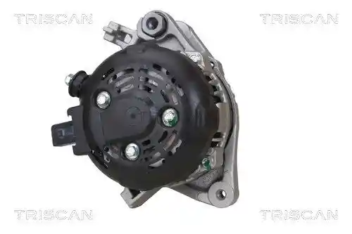 TRISCAN 8310 13061