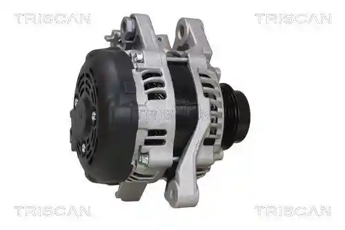 TRISCAN 8310 13061