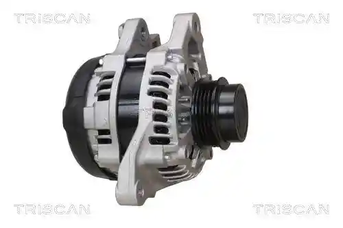 TRISCAN 8310 13061