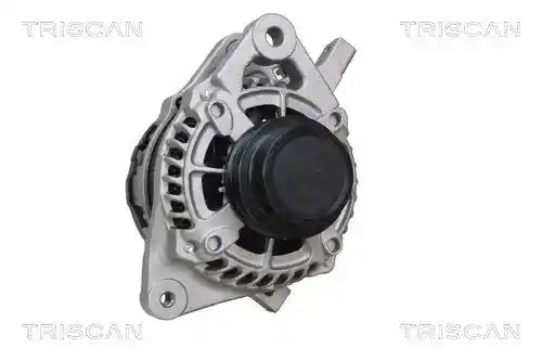 TRISCAN 8310 13061