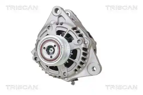 TRISCAN 8310 13062 TRISCAN 8310 13062