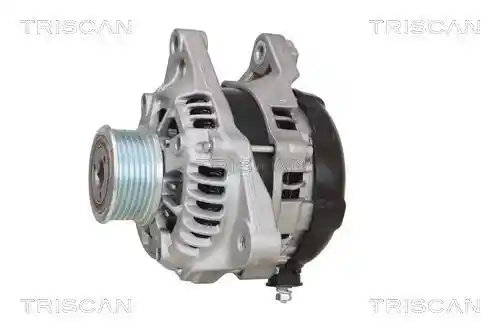 TRISCAN 8310 13062 TRISCAN 8310 13062