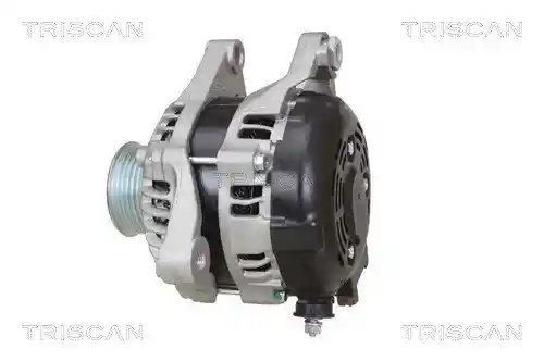 TRISCAN 8310 13062 TRISCAN 8310 13062