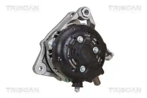 TRISCAN 8310 13062 TRISCAN 8310 13062