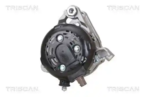 TRISCAN 8310 13062 TRISCAN 8310 13062