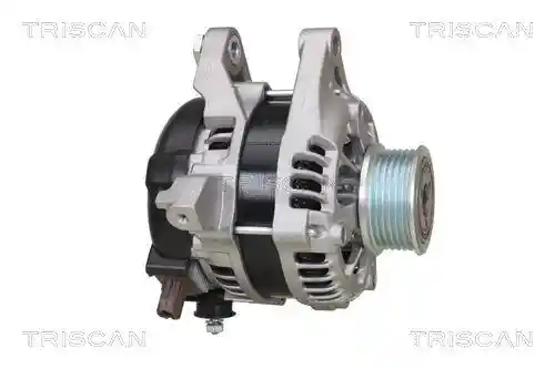 TRISCAN 8310 13062 TRISCAN 8310 13062