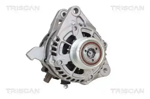 TRISCAN 8310 13062 TRISCAN 8310 13062