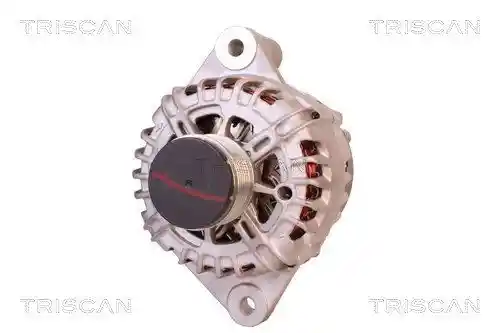 TRISCAN 8310 24015