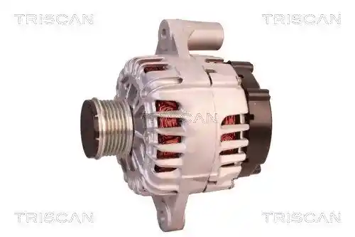 TRISCAN 8310 24015