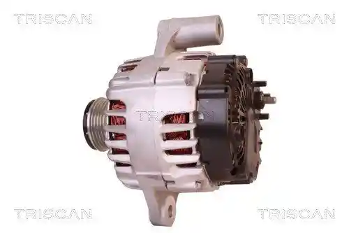 TRISCAN 8310 24015
