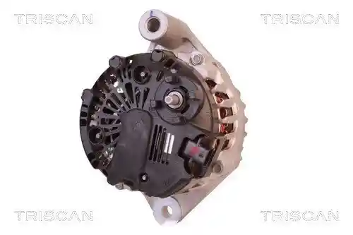 TRISCAN 8310 24015