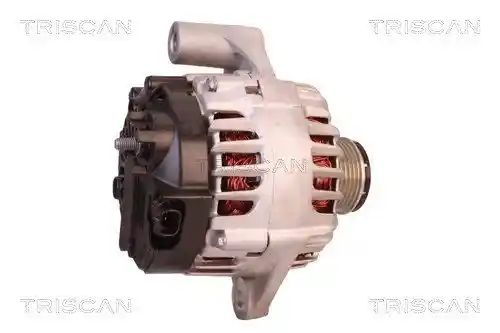 TRISCAN 8310 24015
