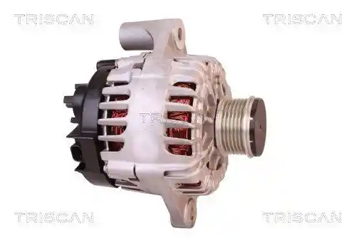 TRISCAN 8310 24015