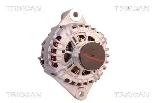 TRISCAN 8310 24015