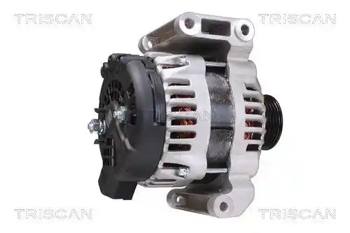 TRISCAN 8310 24020 TRISCAN 8310 24020