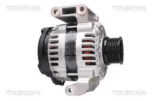 TRISCAN 8310 24020 TRISCAN 8310 24020