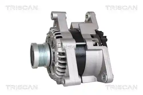 TRISCAN 8310 24024 TRISCAN 8310 24024