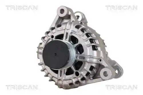 TRISCAN 8310 24029 TRISCAN 8310 24029