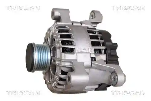 TRISCAN 8310 24029 TRISCAN 8310 24029