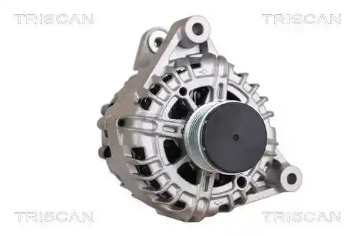 TRISCAN 8310 24029 TRISCAN 8310 24029