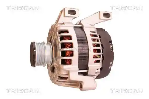 TRISCAN 8310 27008