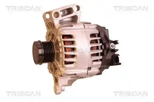 TRISCAN 8310 27012 TRISCAN 8310 27012