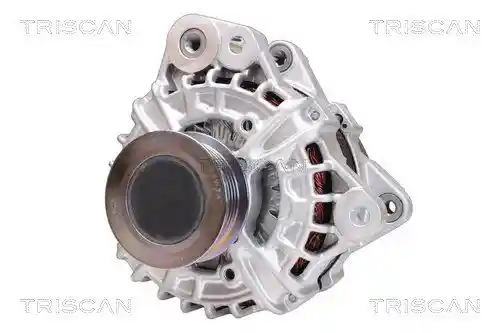 TRISCAN 8310 27018