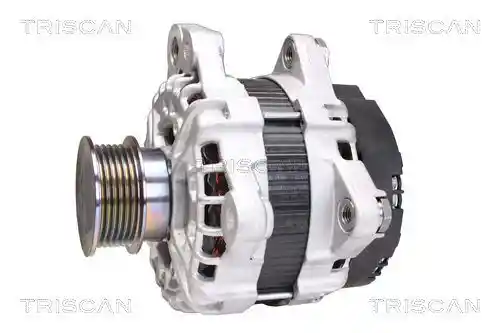 TRISCAN 8310 27018