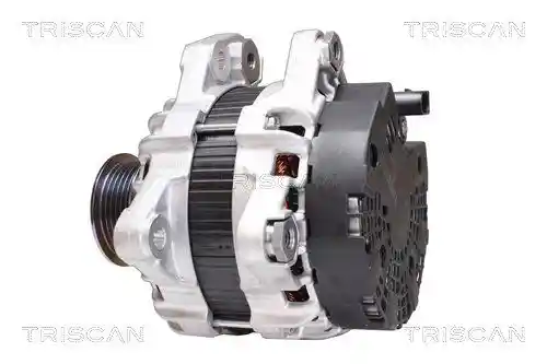 TRISCAN 8310 27018