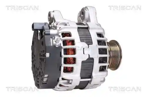 TRISCAN 8310 27018