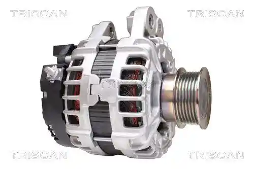 TRISCAN 8310 27018