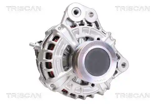 TRISCAN 8310 27018