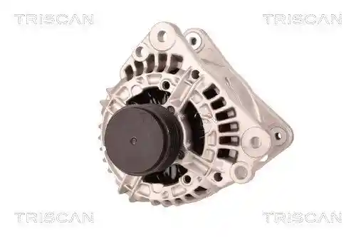 TRISCAN 8310 29035