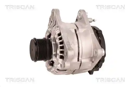 TRISCAN 8310 29035