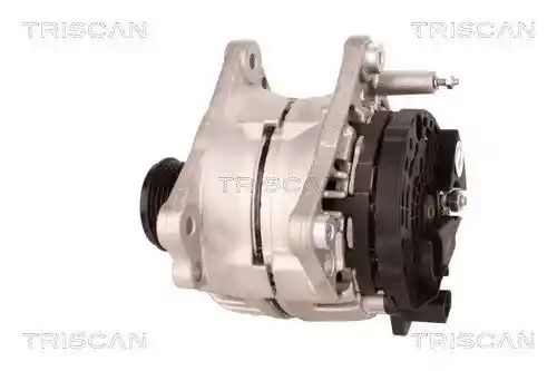 TRISCAN 8310 29035