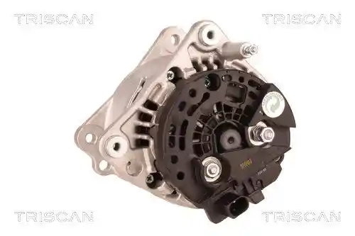 TRISCAN 8310 29035