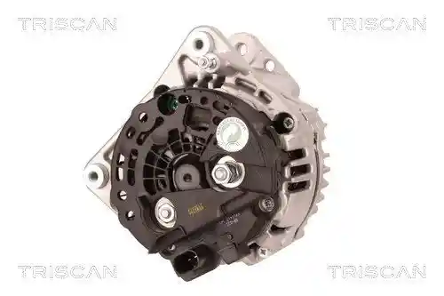 TRISCAN 8310 29035