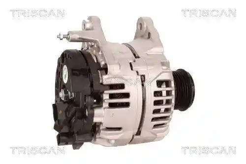 TRISCAN 8310 29035