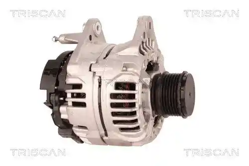 TRISCAN 8310 29035