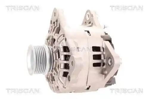 TRISCAN 8310 29037 TRISCAN 8310 29037