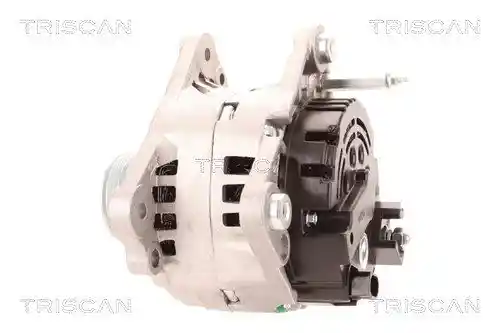 TRISCAN 8310 29037 TRISCAN 8310 29037
