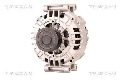TRISCAN 8310 29039